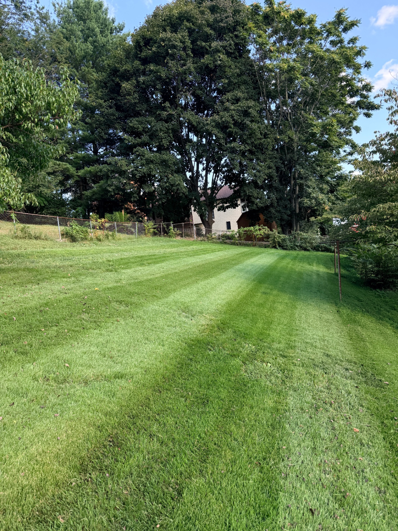 Crisp mow lines across a backyard