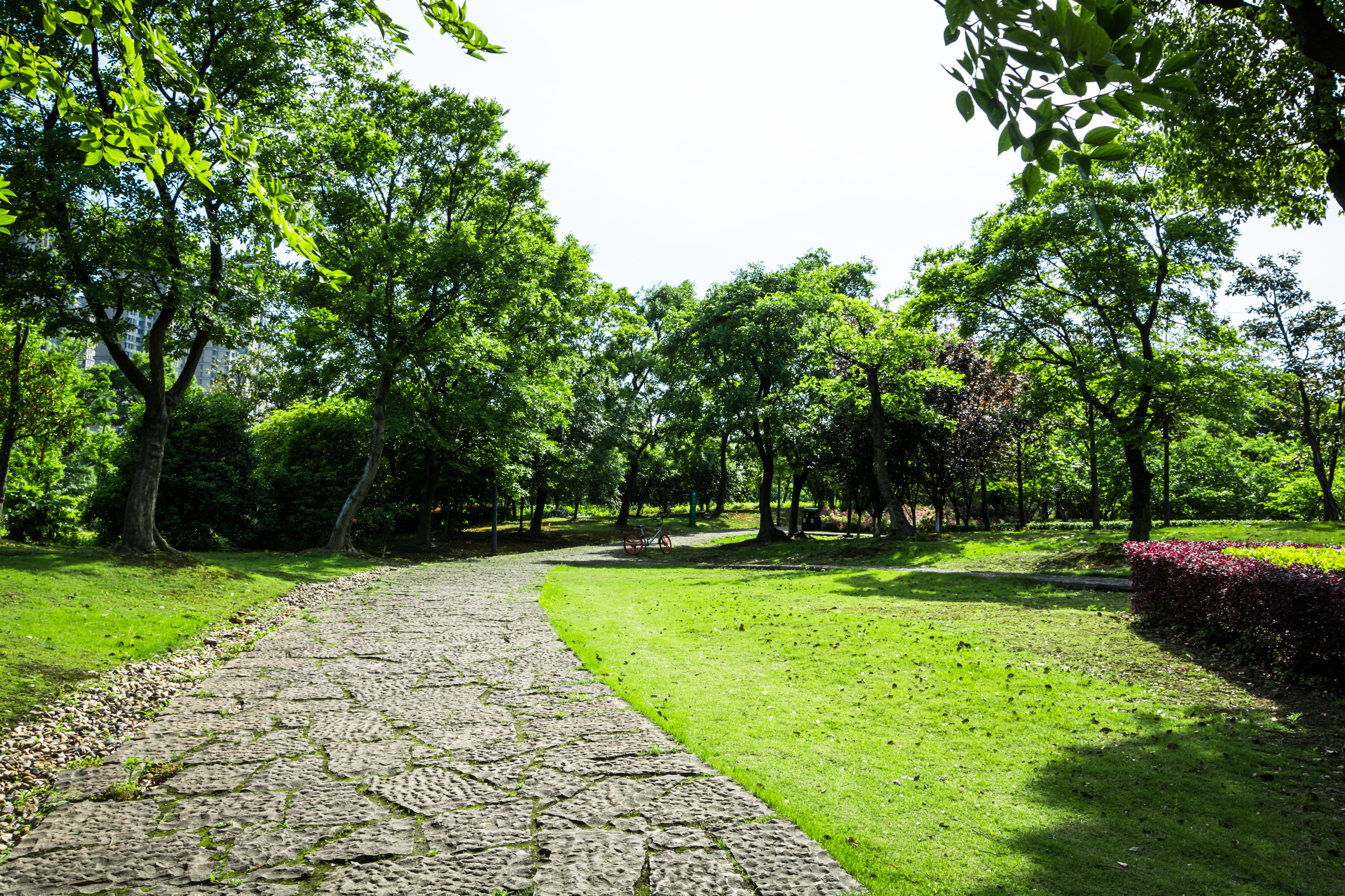 Beautifully landscaped garden and stone walkway
